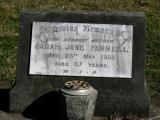 image of grave number 954242